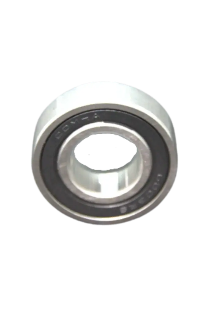 Lager 6003 2-RS